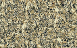 Environ Biocomposites