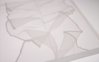 Dacryl