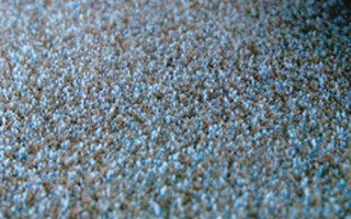 Carpet Sign BV