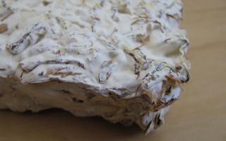 Mushrooms Become Source for Eco-Building