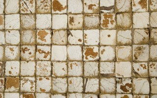 Coconut Tiles