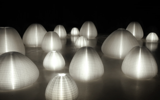 Molo Design Ltd