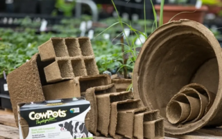 CowPots