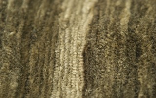 Domaniecki Carpetence GmbH