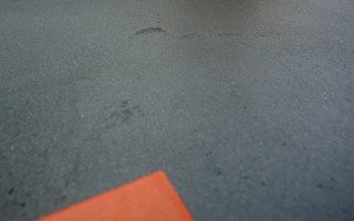 Ardex