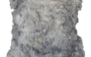 The Soft World