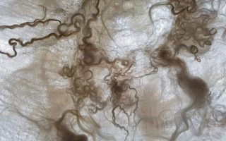 The Soft World