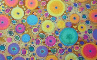 NanoSurfaces srl