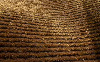 B.I.C.-Carpets