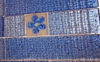 IMEX INTERNATIONAL CO., LTD.