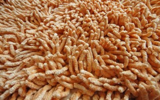 Noble Carpet Co., Ltd.