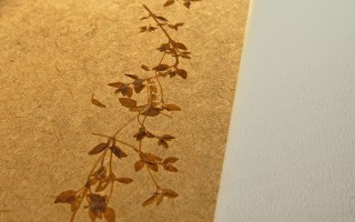 Flower Massionite