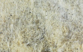 Thermafiber Inc.
