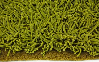 Paola Lenti Srl