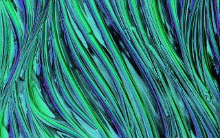Nathan Allan Glass