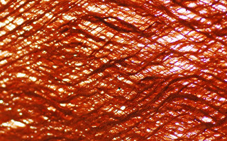 ART NATURE DESIGN