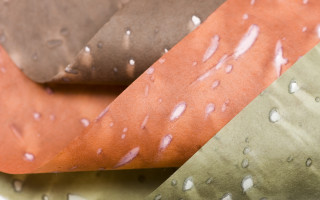 Paper Connection International, LLC