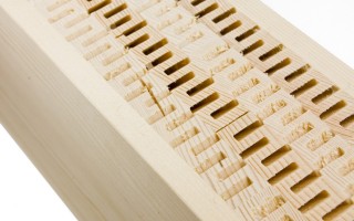 DendroLight Building Block (BB)