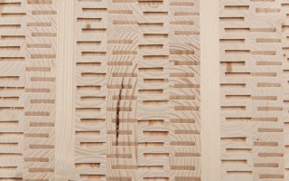 DendroLight core material