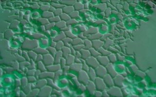 Tex-tiles