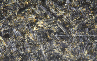 Torzo Surfaces