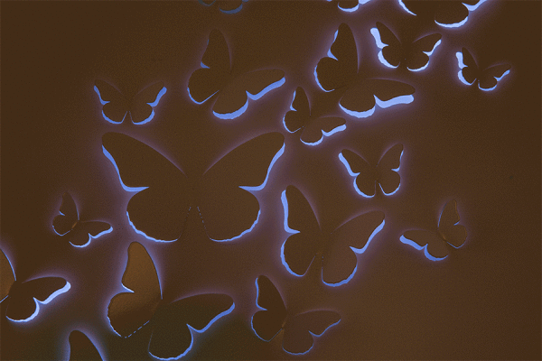 Luminous Patterns