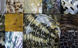 Cuncha Nasu Shell