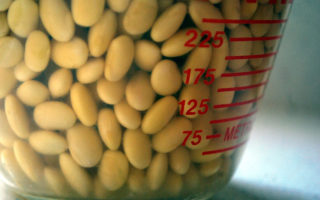 Cleaning the air with a soy protein air filter