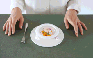 Living Plates: silicone dining plates that move when you eat