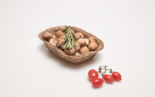 POC: seagrass-based food packaging material to reduce waste