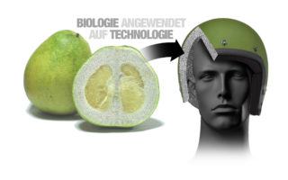 Protective gear inspired by fruit and reptile scales