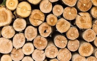 Lignin: a material to watch