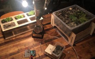 A sustainable green roof made from sewage waste