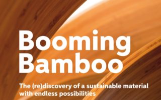 Book Booming Bamboo is out now!