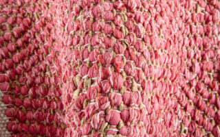 Cork rugs