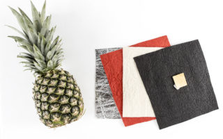 Ananas Anam