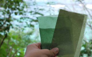 This edible packaging material is based on seaweed