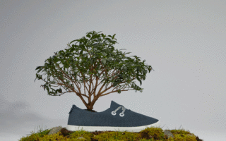 Wonderful footwear made of wool and wood