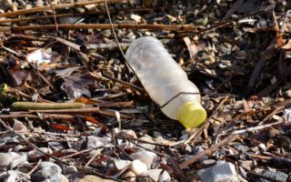 PET eating enzyme could help fight plastic pollution