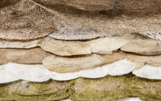 Wild silk