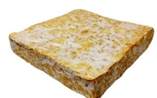 New building material is made from fungus, rice and glass