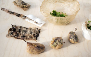 Scoby: edible packaging material grown from bacteria