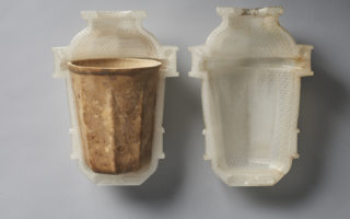 Disposable cups made from mould-grown gourds