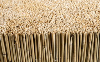 Acoustic reed elements