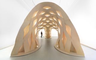Sewn Timber Shell uses sewing to create a wooden structure