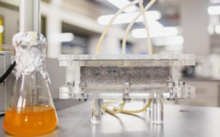 Bio-bricks grown from human urine