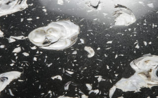 Oesterplat