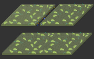 New material grows on carbon like a tree