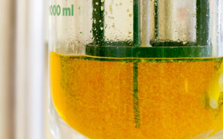 Using fungi to produce everyday products