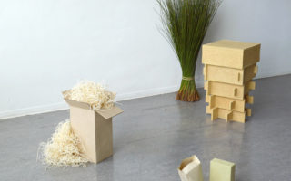 Medulla: from weed to furniture